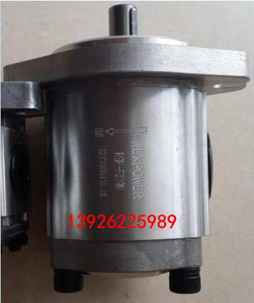 臺(tái)灣REXPOWER銳力齒輪泵RGP-F319R