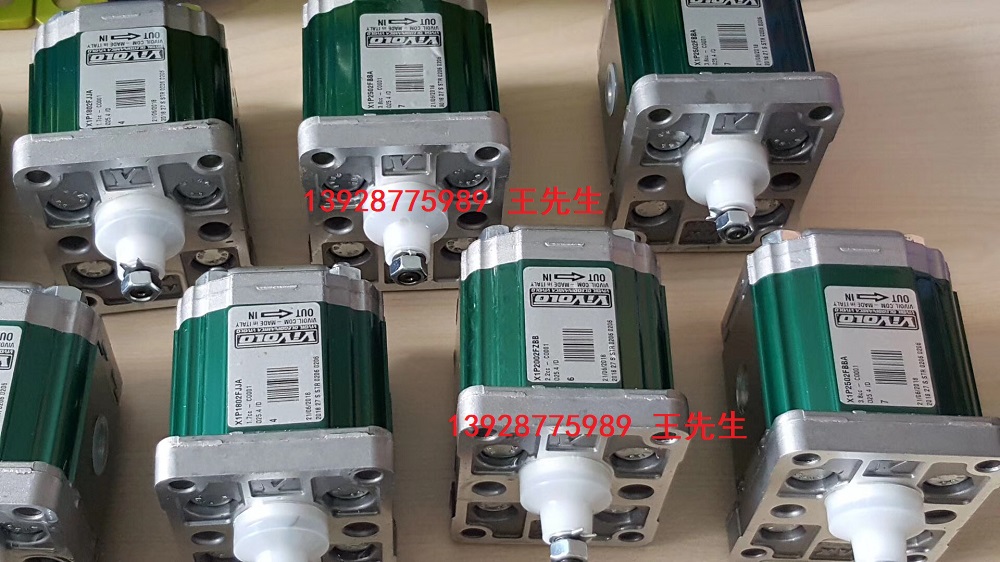 VIVOLO維沃爾齒輪泵中國一級總代理