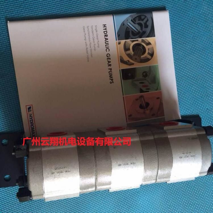 臺(tái)灣新鴻HYDROMAX同步分流馬達(dá)