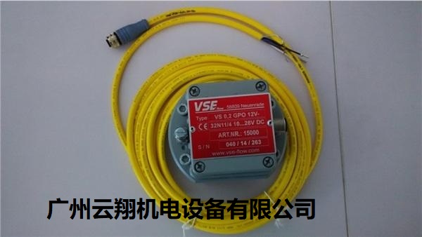 德國(guó) VSE齒輪流量計(jì)